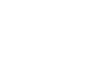 logo2w